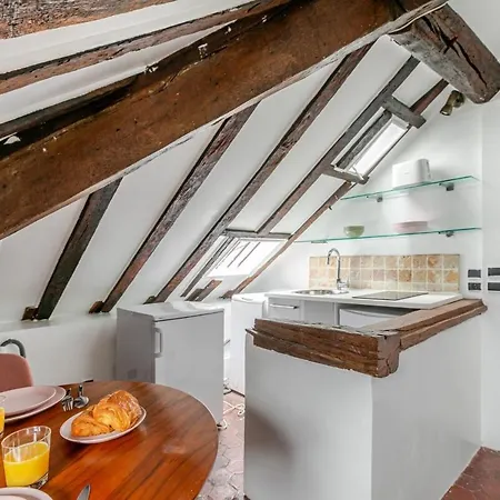 Sous Les Poutres A Apartment Paris